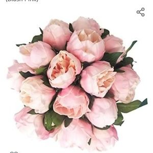 Meet your Posher, Gwendolyn